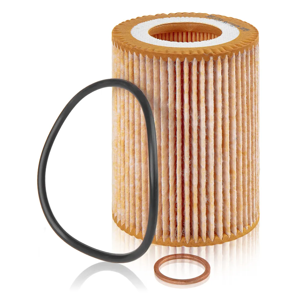 Фильтр масляный BMW 1-F20/F21 / 3-F30/F31/F35 (N13-B16/B16A) 11-19 GANZ GIR01196
