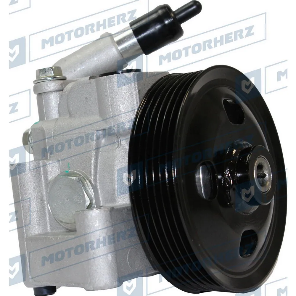 Насос гидроусилителя руля Ford Motorherz P1238HG