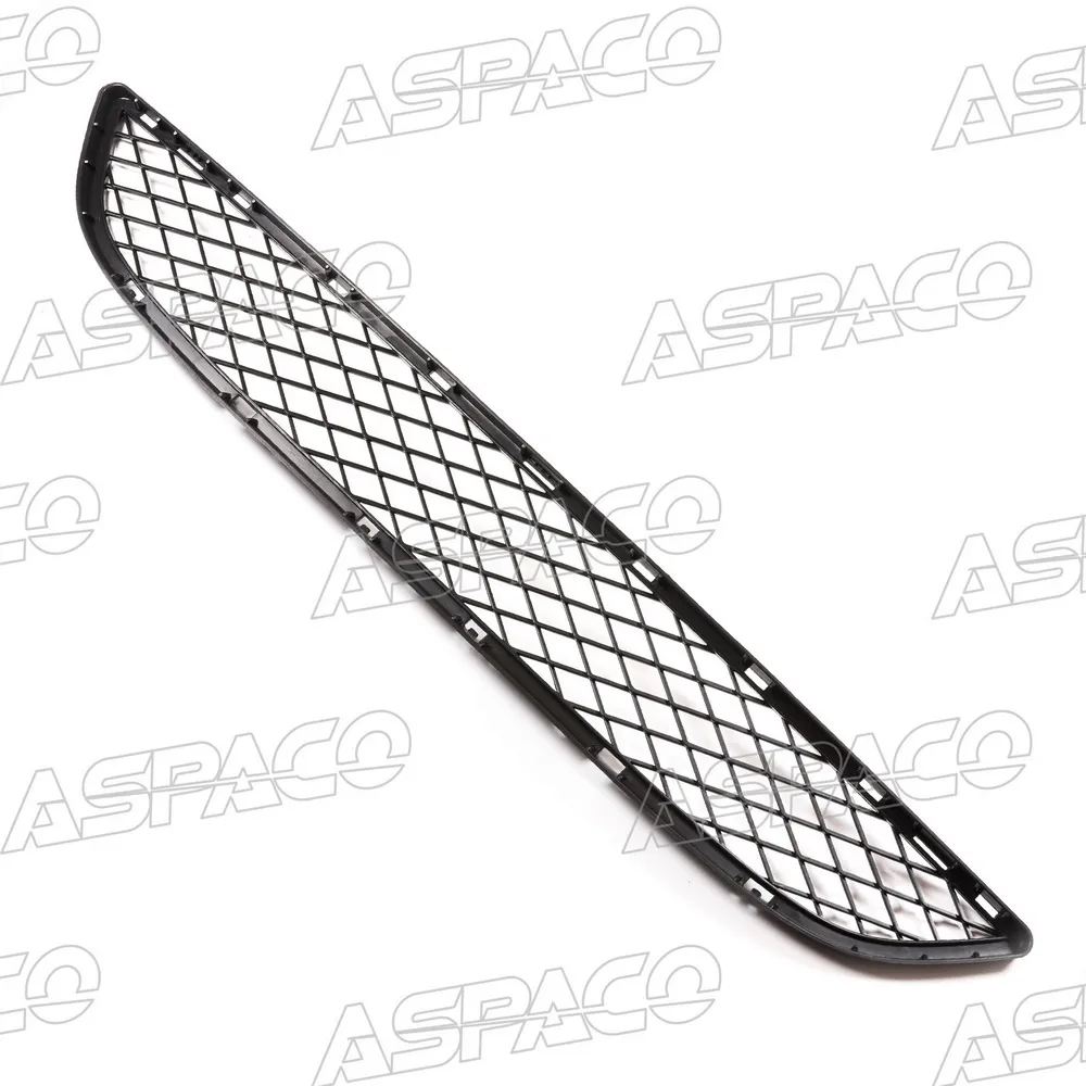 Решетка бампера BMW X5 E70 (07-13), X6 E71 (08-14) ASPACO AP282