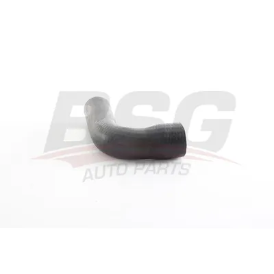 Трубка нагнетаемого воздуха KANGOO II 08- BSG BSG 75-720-138