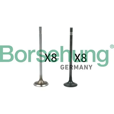 Комплект клапанов 8+8 BORSEHUNG B18631