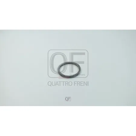Кольцо уплотнительное турбокомпрессора QUATTRO FRENI QF76A00117