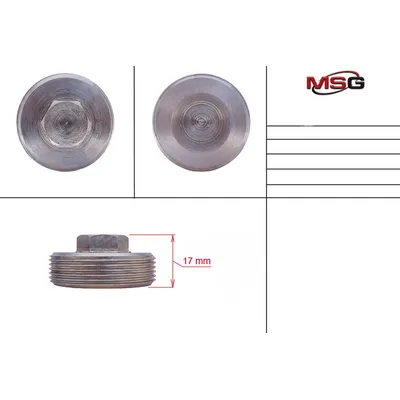 Гайка поджима боковая FORD S-MAX 2006-,FORD Galaxy 2006-,FORD Mondeo IV 2007- MSG fo228nuts
