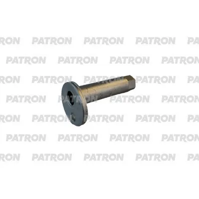 Втулка подвески с эксцентриком L=73.8 CHERY: TIGGO 2.0/2.4 2wd 05- PATRON PBLT012