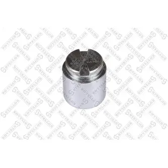 Поршень суппорта d48 Bosch Ford Transit 06> STELLOX 04-98361-SX