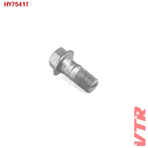 Болт крепления трубки VTR HY7541T