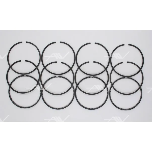 Комплект колец STD NISSAN BD30 TD27 96 00mm 2 5x2 0x4 0