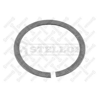 Кольцо уплотнительное валаBPW SN30../36 STELLOX 8901042_SX