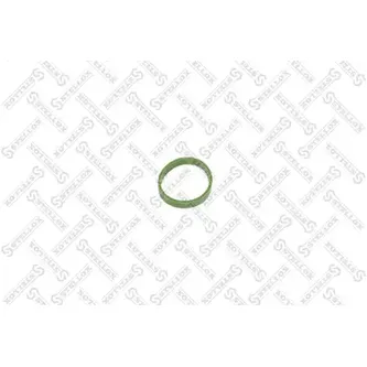 Прокладка коллектора впускного x4 Audi A3,Skoda Fabia,VW Golf/Polo STELLOX 11-26171-SX