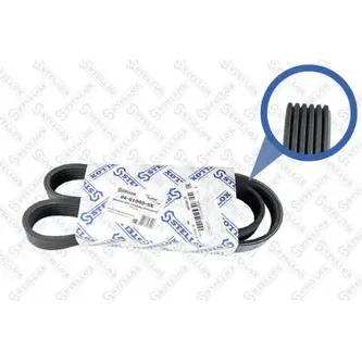 Ремень поликлиновый 6PK1000 Fiat Croma 2.4 20V 05> STELLOX 06-01000-SX