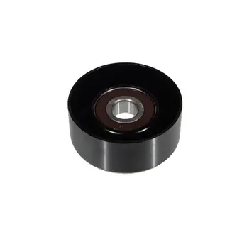 Ролик обводной Hyundai H-1, KIA Sorento ZENTPARTS Z23648_ZNT