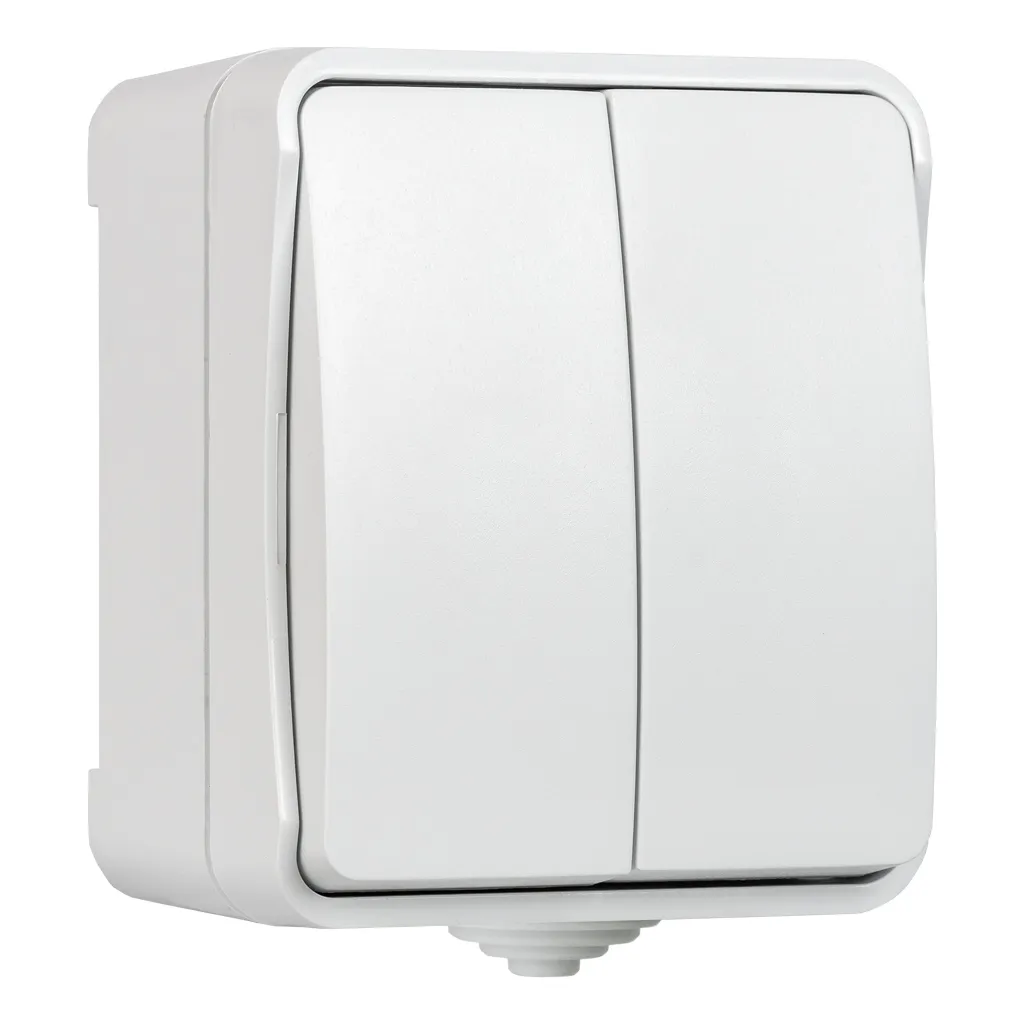Выключатель 2-клавишный 10а, IP54, белый, сатурн SMARTBUY SBE-04G-10-SW2-0