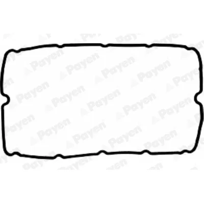 Прокладка клапанной крышки PAYEN JM5037