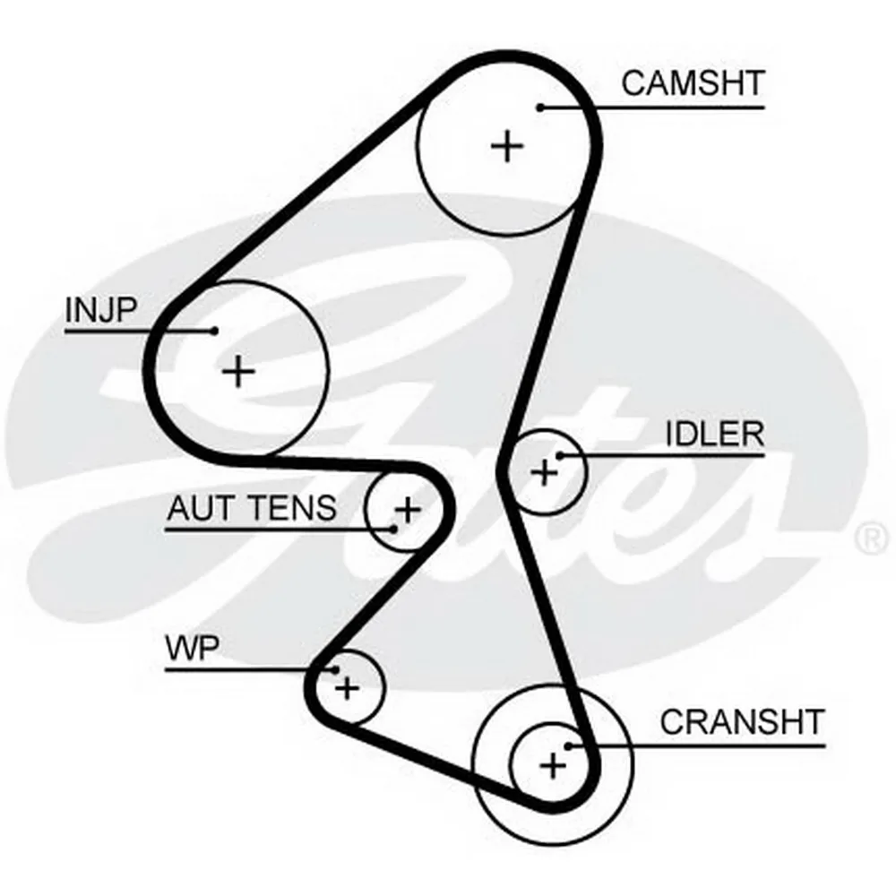 Ремень ГРМ FORD/FIAT/MAZDA/PSA/VOLVO mot.1,6HDI/TDCI GATES 5656XS