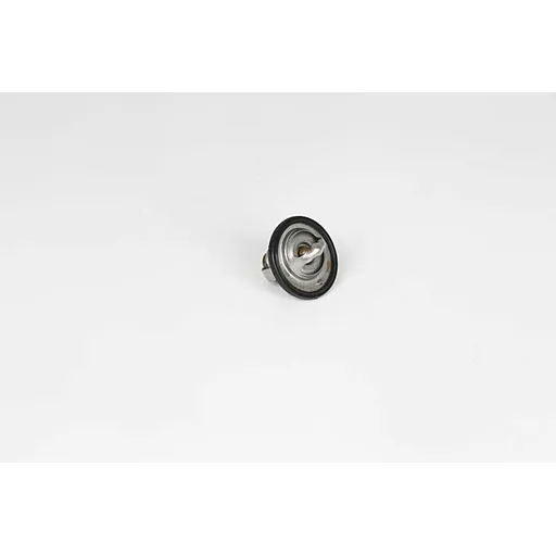 Термостат AVEO T250/T255 08-13 BSG BSG 16-125-006