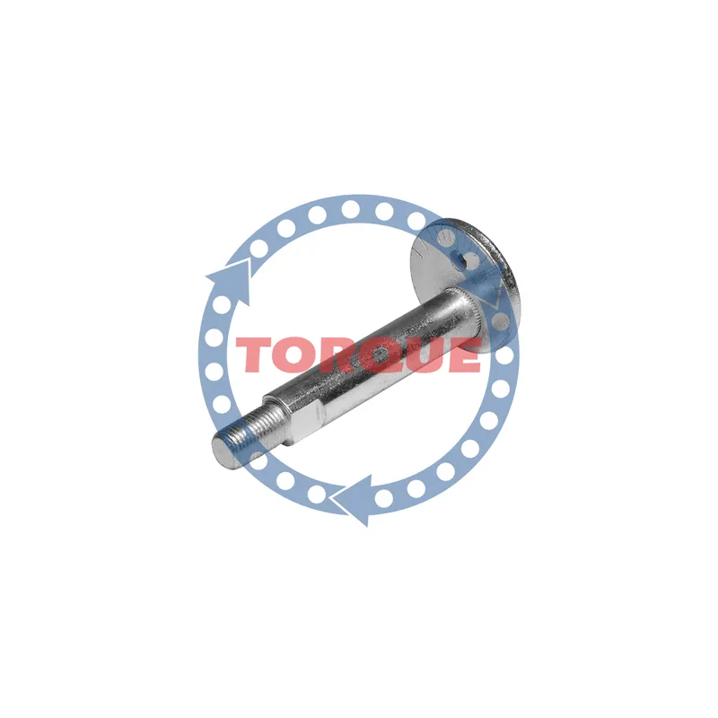 Болт эксцентриковый TORQUE CP004