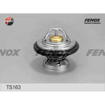 Термостат (+80C) FENOX TS163