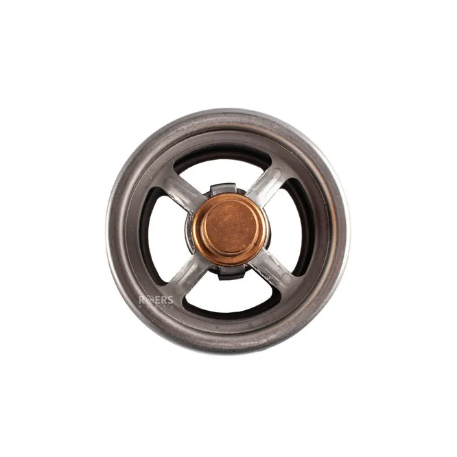 Термостат Roers Parts RP20LT022