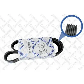 Ремень поликлиновый 6PK1042EE Ford Focus 1.6 16V 98-04 STELLOX 06-01042-SX