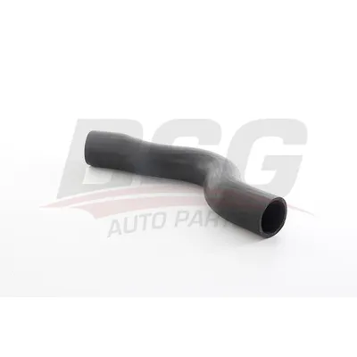 Шланг турбонагнетателя MOVANO 99- BSG BSG 65-720-095