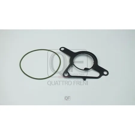 Ремкомплект вакуумного насоса QUATTRO FRENI QF34F00013
