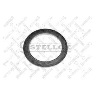 Шайба пальца тормозной колодки ROR TM I STELLOX 8545501_SX