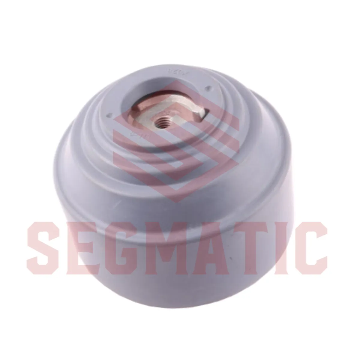 Опора двигателя Mercedes W203/T203 3.2/W220 4.3-6.0/C209/C215 5.0-5.5 98- SEGMATIC SG30112146