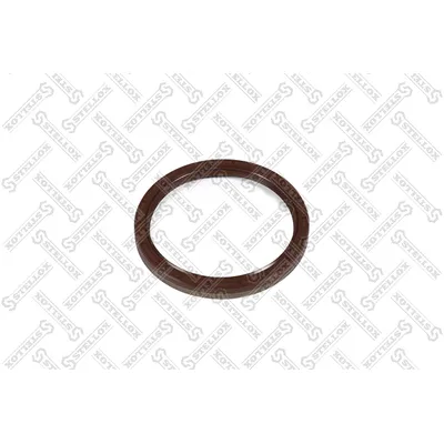 Сальник КПП FKM, 105x125x12 B1BASLRSX7 RVI, IVECO STELLOX 81-01370-SX