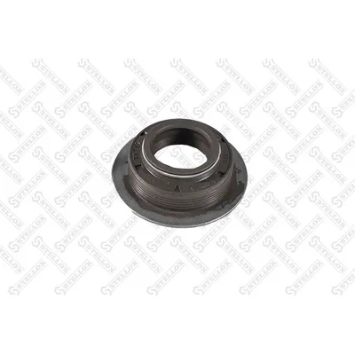Сальник кпп 22x36/48x14.5 MAN STELLOX 8101246_SX