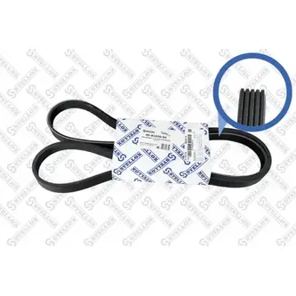 Ремень поликлиновый 5PK1570 Lancia Y 1.2 01-03 STELLOX 05-01570-SX