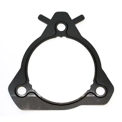 Прокладка ТНВД FORD C-MAX/FIESTA/FOCUS/GALAXY/MONDEO/TRANSIT 1.8 DI/TDDI 98- ELRING 028.211