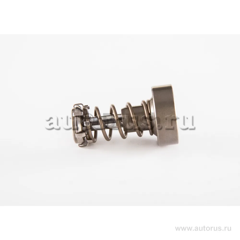 Плунжерная пара BOSCH F 01M 101 349