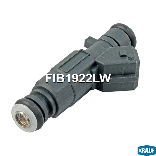 Форсунка бензиновая FIB1922LW