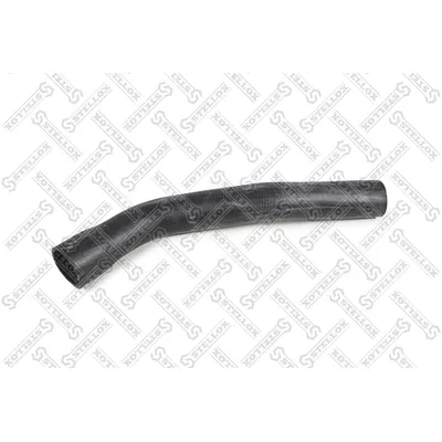 Патрубок радиатора нижний RVI MAGNUM DXI12/13 STELLOX 8111508_SX