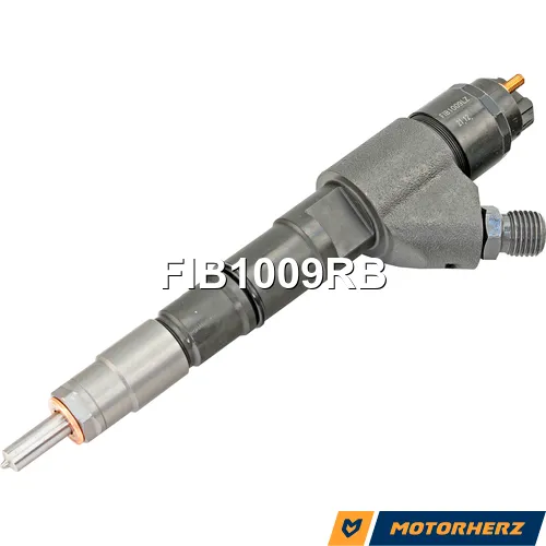 Форсунка топливная восстановленная Motorherz FIB1009RB