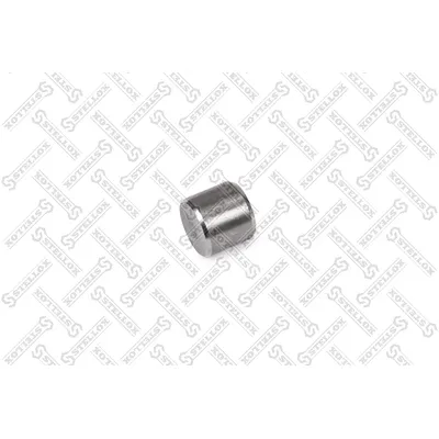 Штифт центровочный рессоры D 24 L 22 BPW STELLOX 84-03695-SX