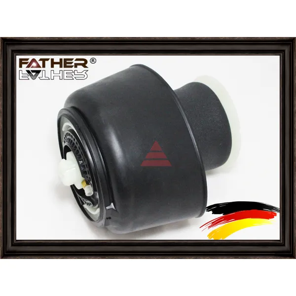 Пневмобаллон RR FATHER F1869R79
