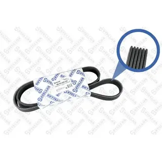 Ремень поликлиновый 6PK1195 Fiat Punto 1.9D/JTD 99>, Renault Kang STELLOX 06-01195-SX