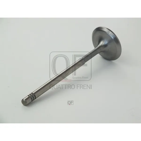 Клапан двигателя впускной QUATTRO FRENI QF02A00007
