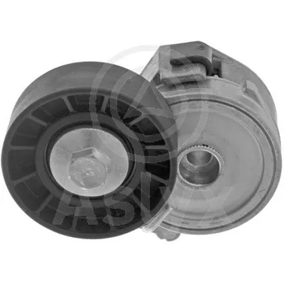 НАТЯЖИТЕЛЬ CIT C5/C8/XANTIA/XSARA/PGT 206/306/307/406/607/806/807 2.0HDI/2.2HDI (генератор) AS-202253