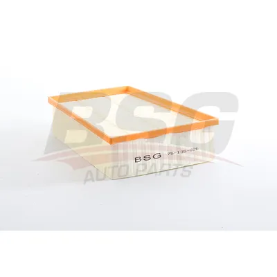 Воздушный фильтр MEGANE IV/SCENIC IV 15- BSG BSG 75-135-026