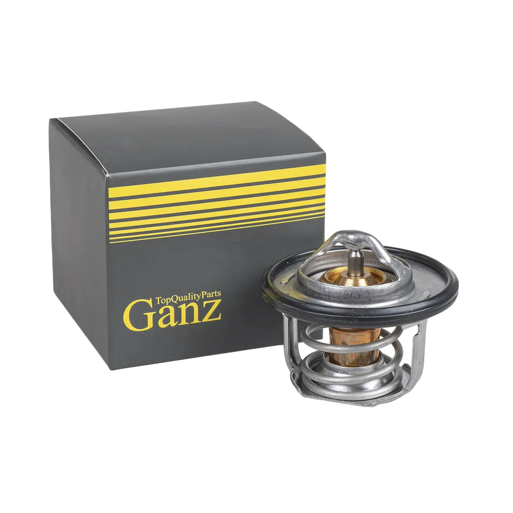 Термостат (элемент) Baic U5 PLUS, Baic X35 GANZ GIF08075