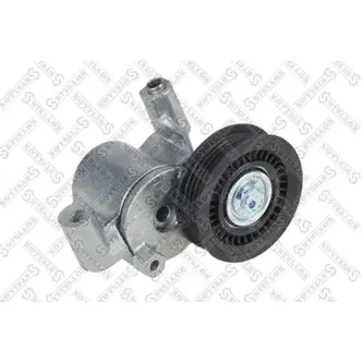 Ролик натяжной c мех-м натяж. Ford Focu STELLOX 0341086_SX