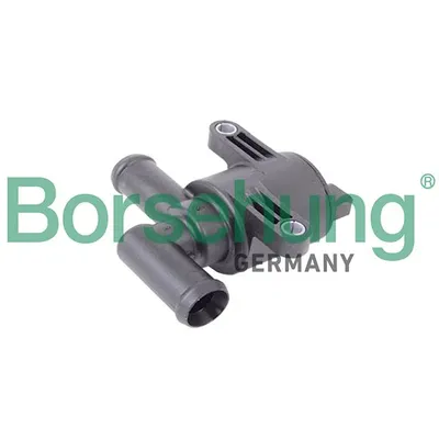 Клапан BORSEHUNG B18981