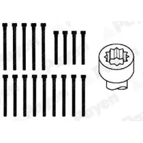 Комплект болтов гбц mb w201w202w124vito 2.0d-2.3td om601 83 18 PAYEN HBS058