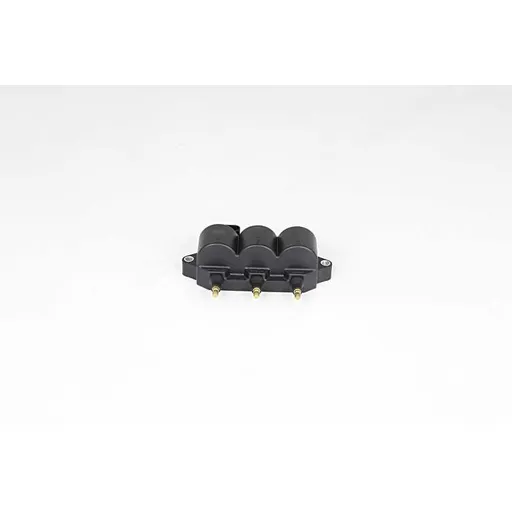 Катушка зажигания SPARK M200 04-10 BSG BSG 16-835-003