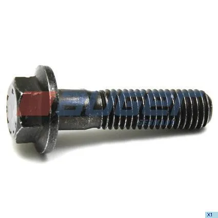 Болт HCV AUGER 70080