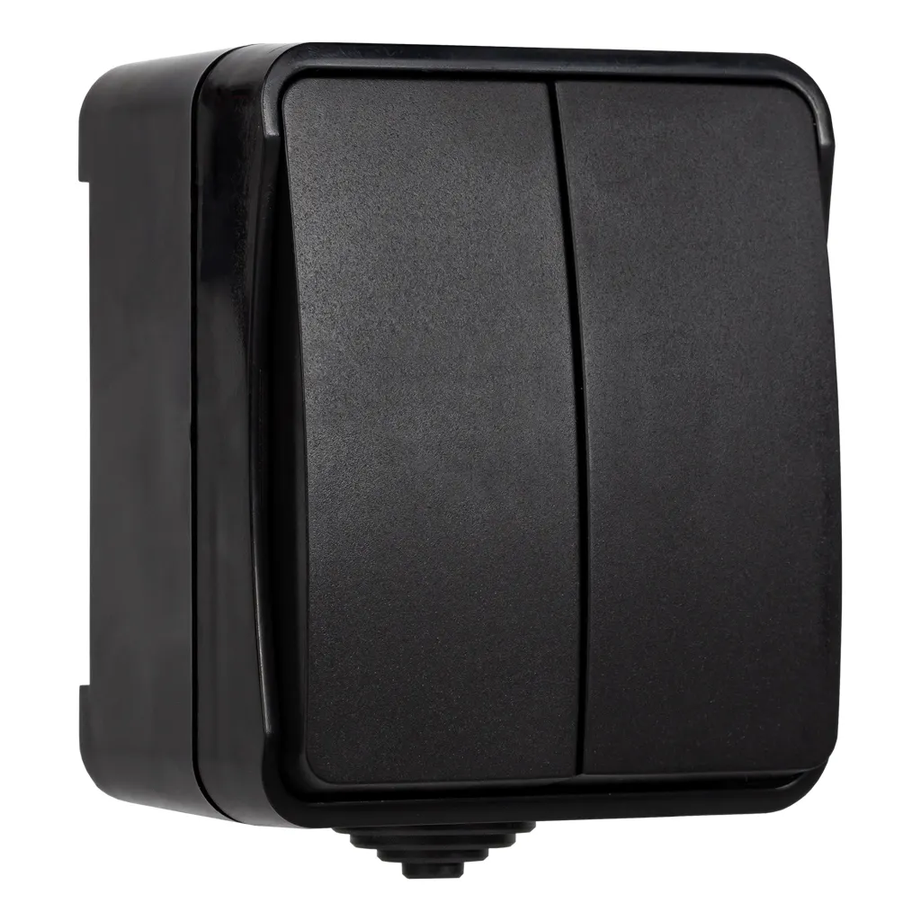 Выключатель 2-клавишный 10а, IP54, черный, сатурн SMARTBUY SBE-04B-10-SW2-0