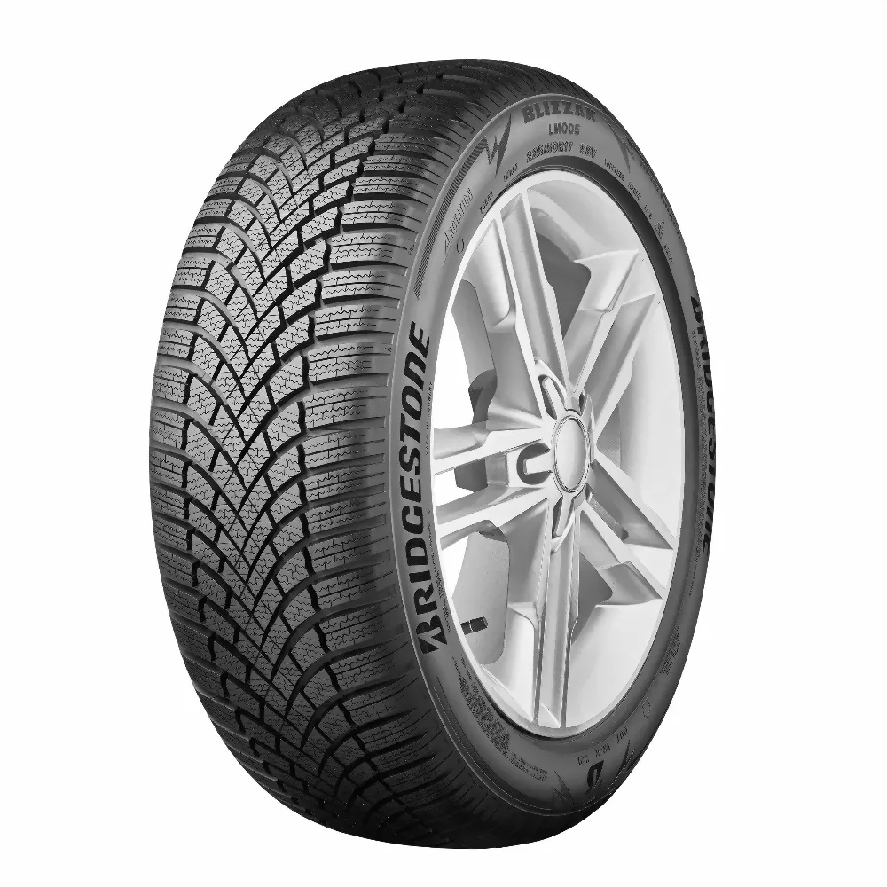 Шина R15 205/60 Roadstone Eurovis Alpine WH1 91T зима R15292