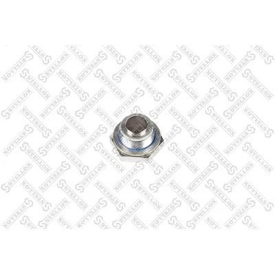 Пробка поддона RVI DXI11 STELLOX 8903127_SX